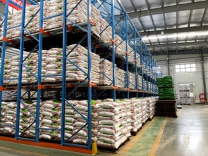 Heavy Duty Radio Shuttle Racking for Cold Storage Semi-Automated System